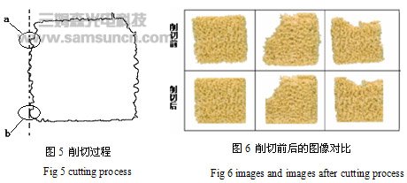 机器视觉实现方便面破损在线检测的研究_byy688.com