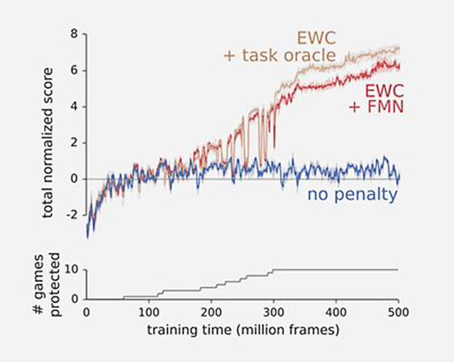 Forgetting may be the key to AI progress_byy688.com